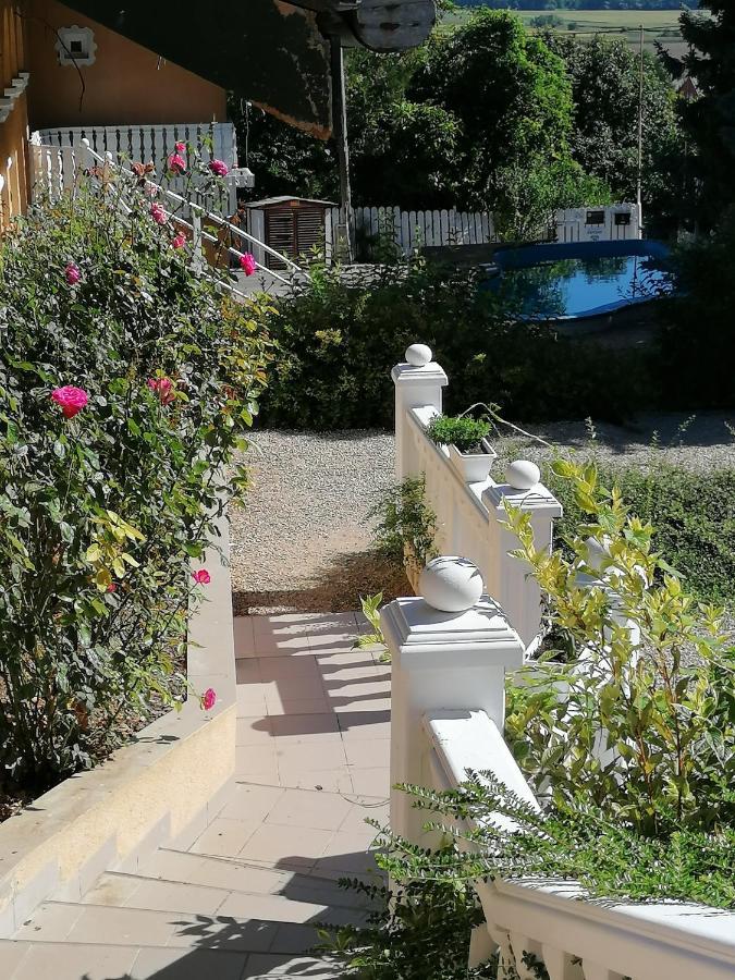 Panorama Birtok - Wellness Panzio, Konferencia Es Rendezvenykoezpont Bed & Breakfast Gyorujbarat Exterior photo